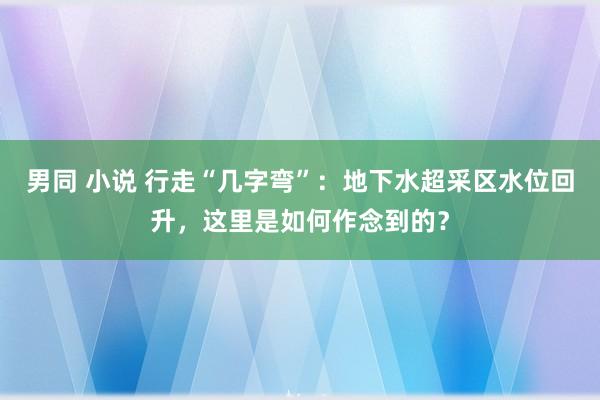 男同 小说 行走“几字弯”：地下水超采区水位回升，这里是如何作念到的？
