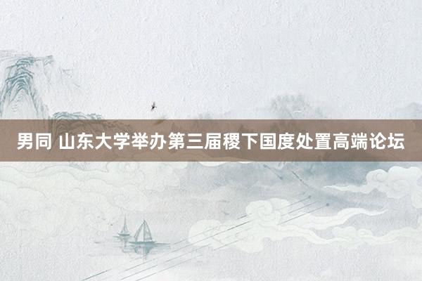 男同 山东大学举办第三届稷下国度处置高端论坛