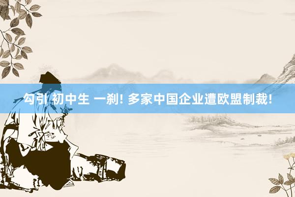 勾引 初中生 一刹! 多家中国企业遭欧盟制裁!