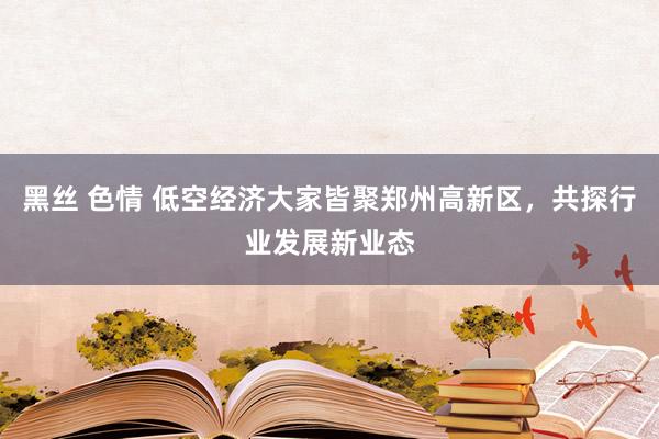 黑丝 色情 低空经济大家皆聚郑州高新区，共探行业发展新业态