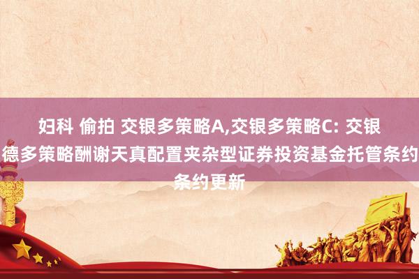 妇科 偷拍 交银多策略A,交银多策略C: 交银施罗德多策略酬谢天真配置夹杂型证券投资基金托管条约更新