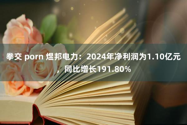 拳交 porn 煜邦电力：2024年净利润为1.10亿元，同比增长191.80%