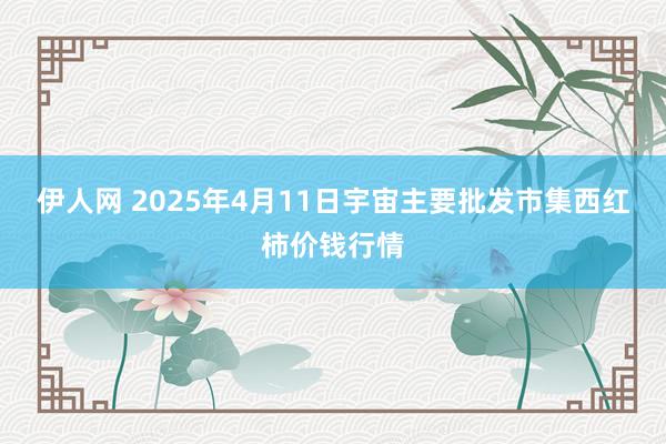 伊人网 2025年4月11日宇宙主要批发市集西红柿价钱行情