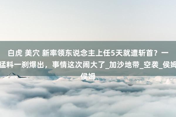 白虎 美穴 新率领东说念主上任5天就遭斩首？一猛料一刹爆出，事情这次闹大了_加沙地带_空袭_侯姆