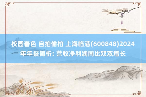 校园春色 自拍偷拍 上海临港(600848)2024年年报简析: 营收净利润同比双双增长