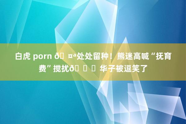 白虎 porn 🤪处处留种！熊迷高喊“抚育费”搅扰😂华子被逗笑了