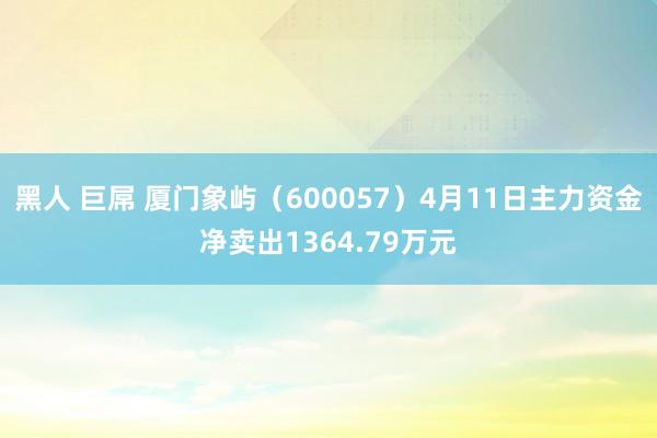 黑人 巨屌 厦门象屿（600057）4月11日主力资金净卖出1364.79万元