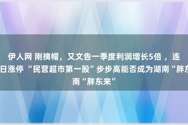 伊人网 刚摘帽，又文告一季度利润增长5倍 ，连结两日涨停 “民营超市第一股”步步高能否成为湖南“胖东来”