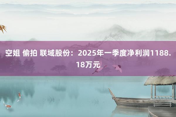 空姐 偷拍 联域股份：2025年一季度净利润1188.18万元