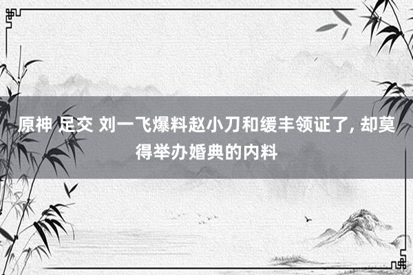 原神 足交 刘一飞爆料赵小刀和缓丰领证了， 却莫得举办婚典的内料